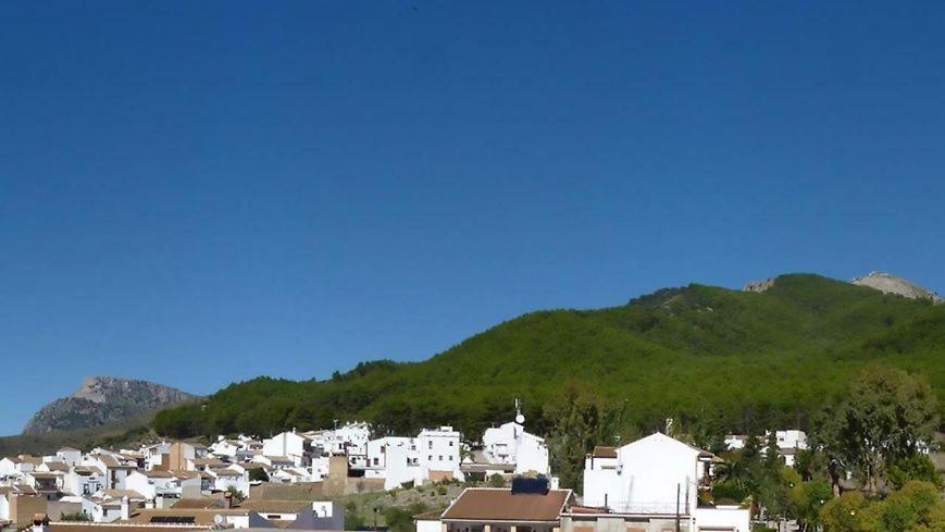Hostal El Pinar Монтекорто Экстерьер фото